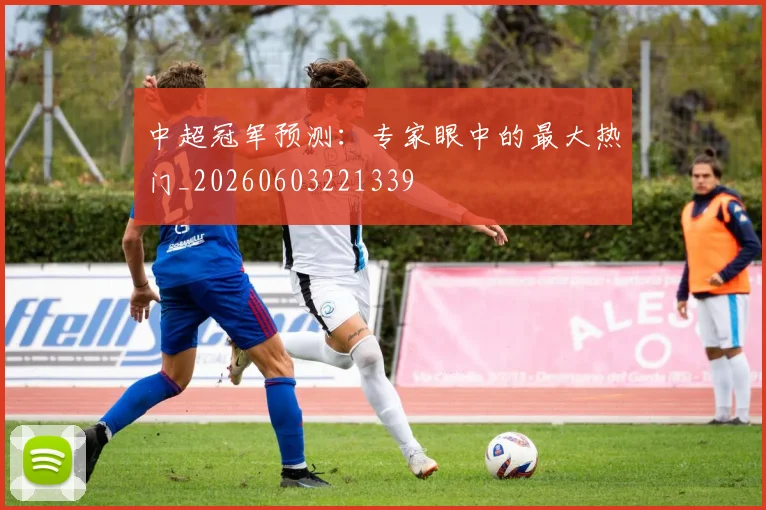 中超冠军预测:专家眼中的最大热门_20260603221339